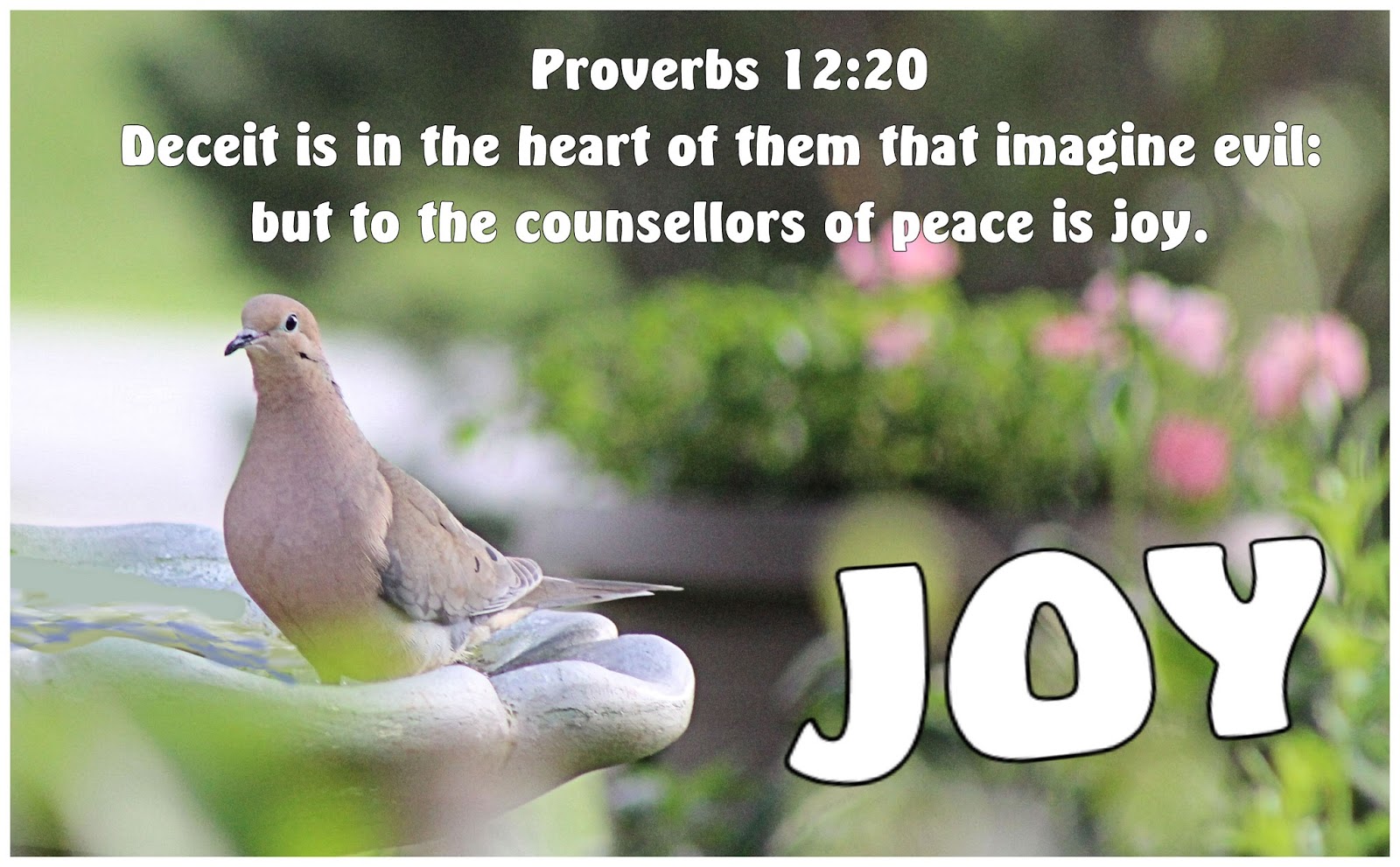 Proverbs%2B12120.jpg