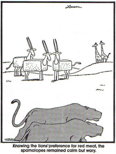 FarSideSpamalopes.jpg