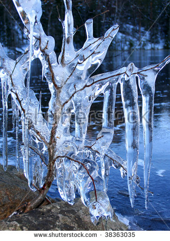 stock-photo-frozen-tree-branches-carrying-deep-blue-icicles-near-frozen-lake-38363035.jpg