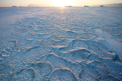 arctic-sea-ice.jpg