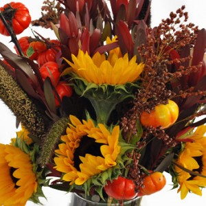 autumn-sunflower-flower-mix-zoom-350-300x300.jpg