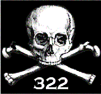 skull_322.gif