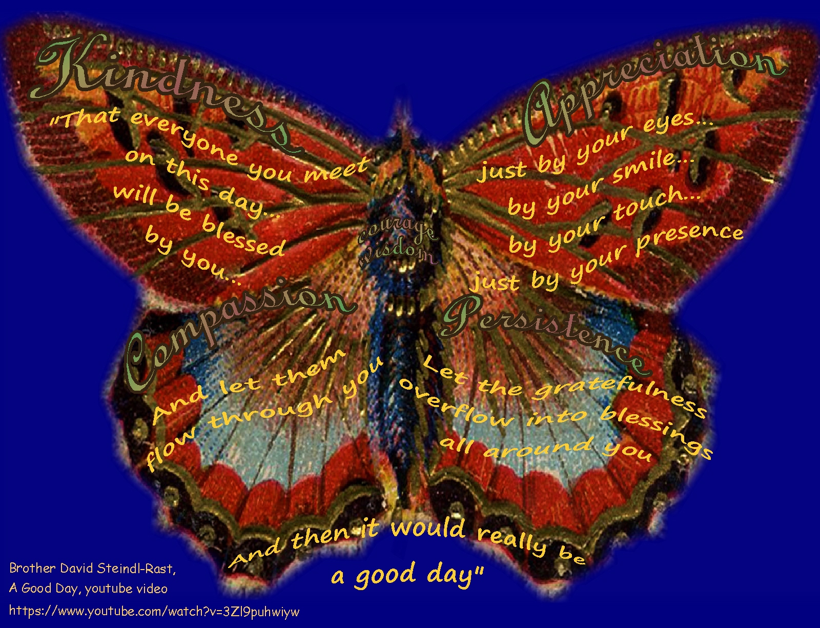 butterfly-kindness-gratefulness-br-steindl-rast.jpg