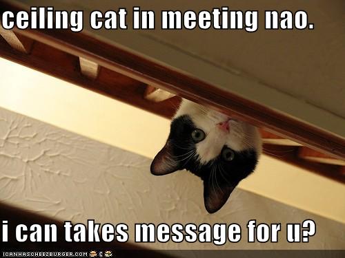 funny-pictures-message-for-ceiling-cat.jpg