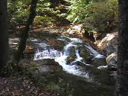 smokies10.jpg