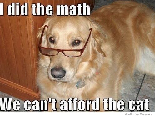 I-Did-The-Math-We-Cant-Afford-The-Funny-Pet-Meme-Picture.jpg