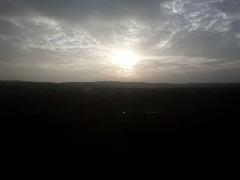 105718_800.jpg