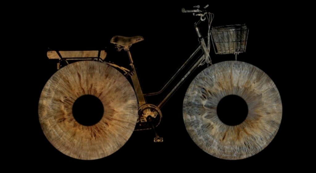 bicycle-cornea-art-on-black-by-Andriana-Green-SWNS-1024x563.jpg