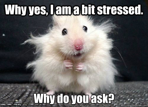 mouse-stress.jpg