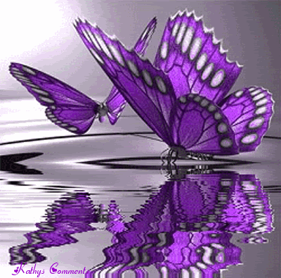 purplebutterfly.gif