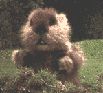 GopherDance.gif