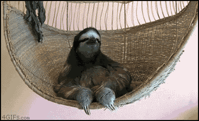 Deal+with+it.gif