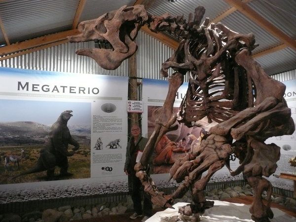 ed06c6e0028ac0aeddec52d43198e93e--mammals-prehistoric.jpg