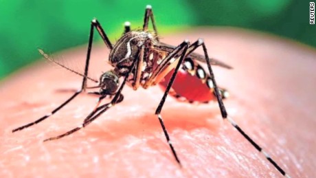 160128185001-zika-mutant-male-mosquitos-mclaughlin-pkg-00020830-large-169.jpg