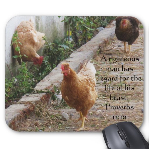 bible_quote_about_animal_cruelty_proverbs_12_10_mousepad-r21ff2b60f60042daa1132a816e1a97c8_x74vi_8byvr_512.jpg