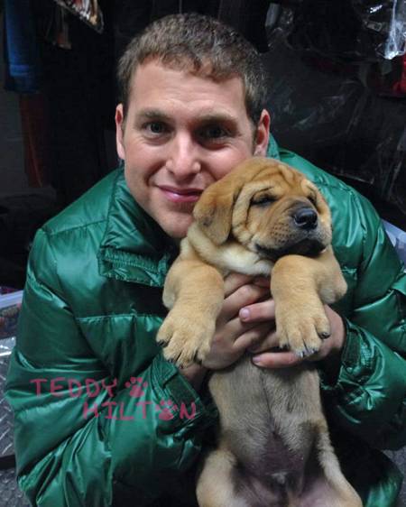 jonah-hill-puppy-dog-cute-pic-co-workers__oPt.jpg
