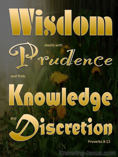 Proverbs-8-12-Wisdom-Dwells-With-Prudence-gold-copy-450x600.jpg