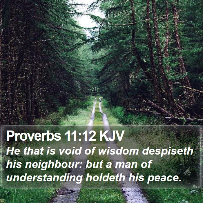 Proverbs-11-12-KJV-He-that-is-void-of-wisdom-despiseth-his-I20011012-L01.jpg