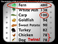 Slide150.jpg