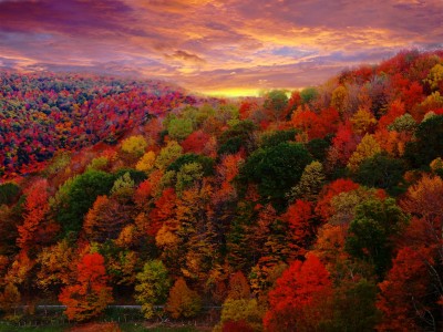 fall-foliage-400x300.jpg
