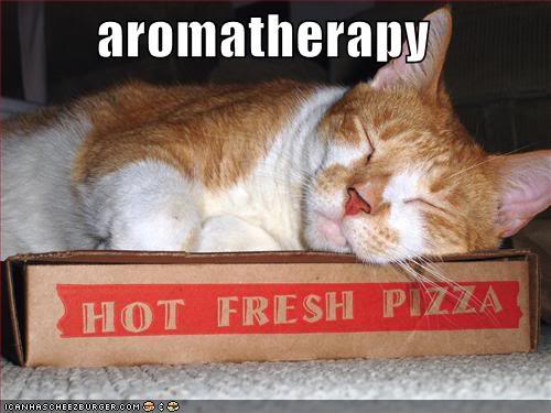 funny-pictures-cat-pizza-aromathera.jpg