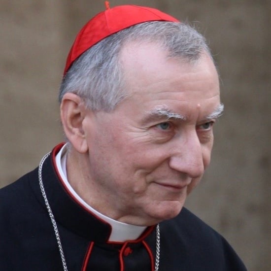 collegeofcardinalsreport.com