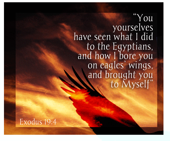 2-2015-YITRO-eagles-wings.gif