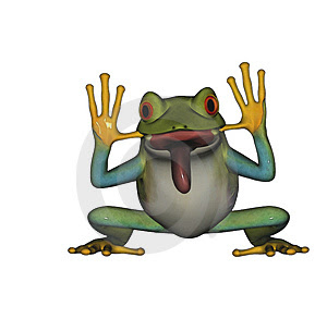 Frog.jpg