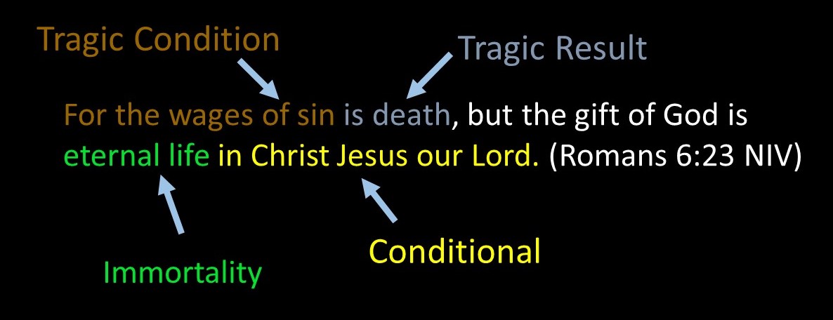 Conditional%2BImmortality%2B10.JPG