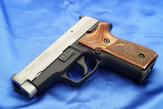 SIG+p229sas-left-full-hi.jpg