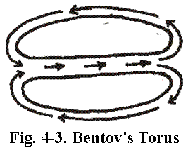 bentov_torus.gif