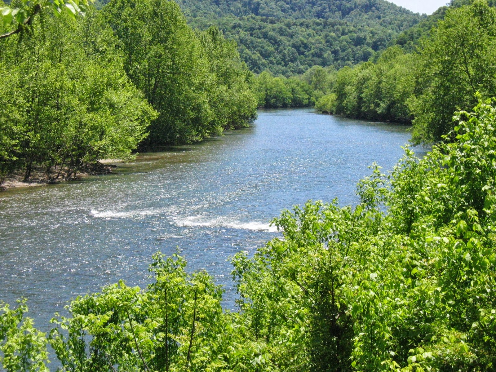 Clinch+River+near+Hancock+County+Tenn+2006+from+Jess+Jones+USFWS++Blacksburg+Oct222013.JPG