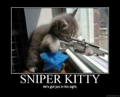 SniperKitty.jpg