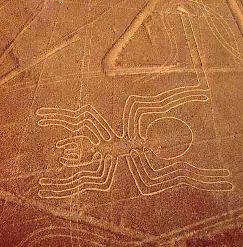 nazca_spider_geoglyph_t.jpg