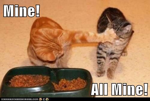 mine-all-mine-lolcat.jpg