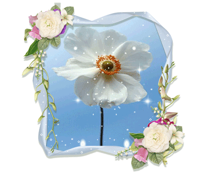 fabulous-narcissus-flowers-animated-gif-clr.gif