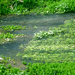 animation-moving-water-gif-clr.gif