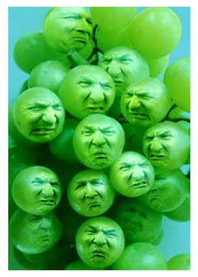 Sour-Grapes.jpg
