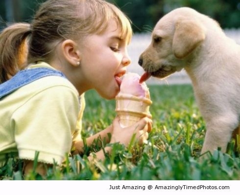 Dog-and-kid-enjoy-ice-cream-together-resizecrop--.jpg