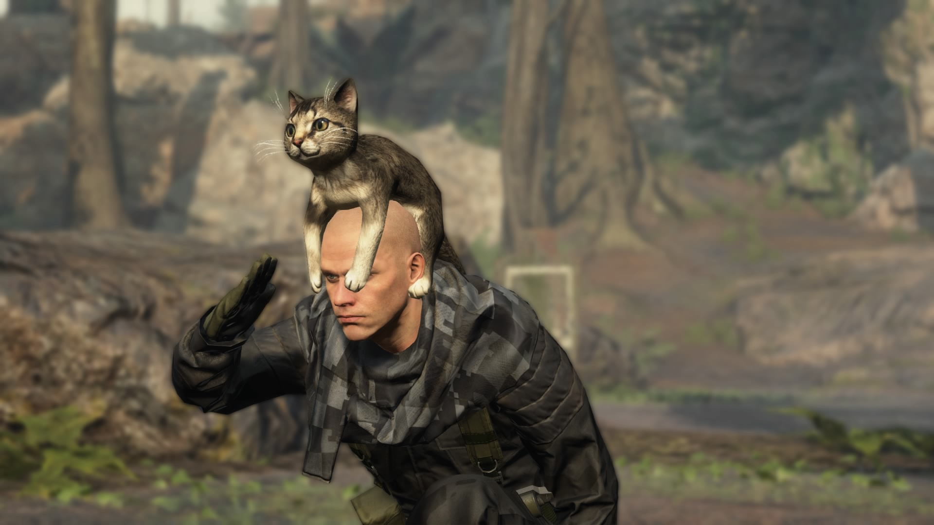 metal_gear_online_november_update_cat_hat_3.jpg