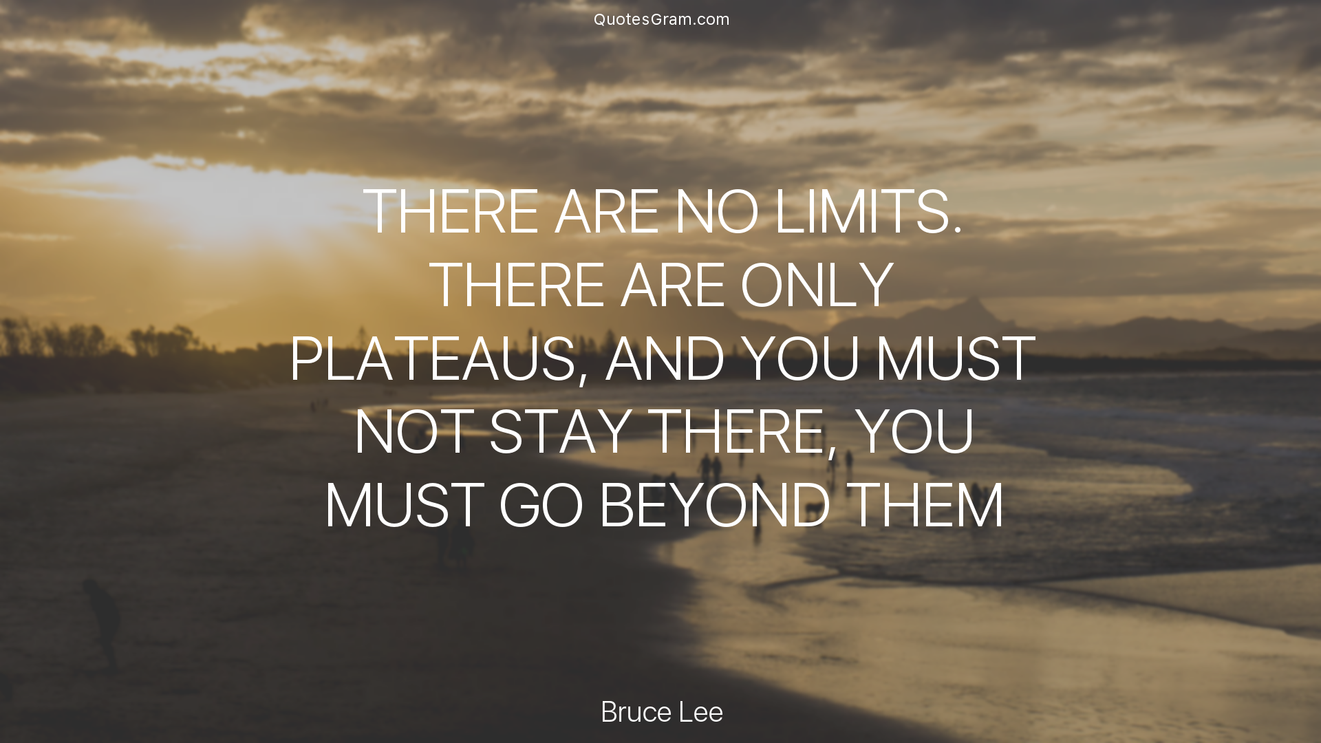 bruce-lee-quote-there-are-no-limits-there-are-only-plateaus-and.png