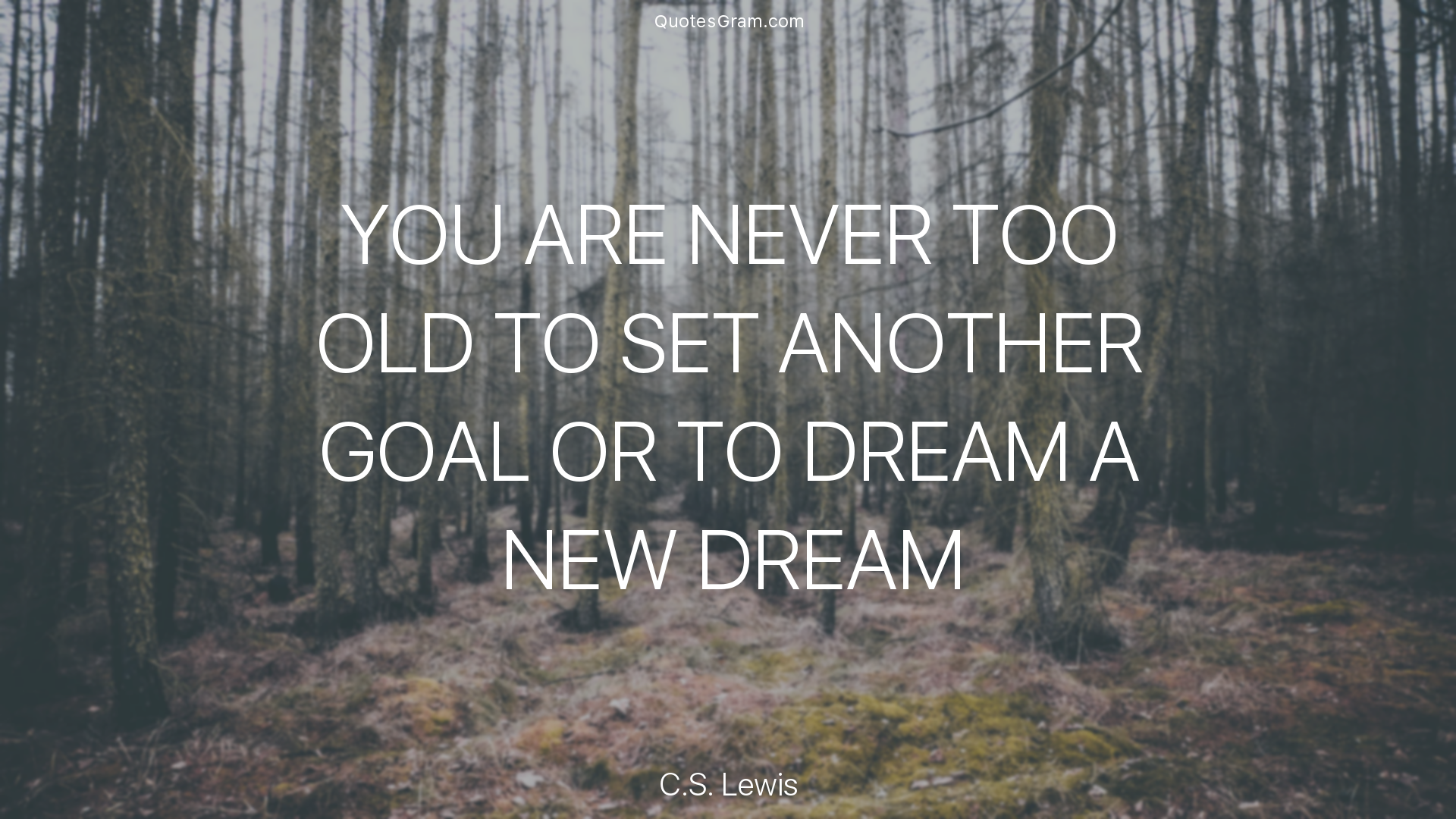 cs-lewis-quote-you-are-never-too-old-to-set-another-goal.png