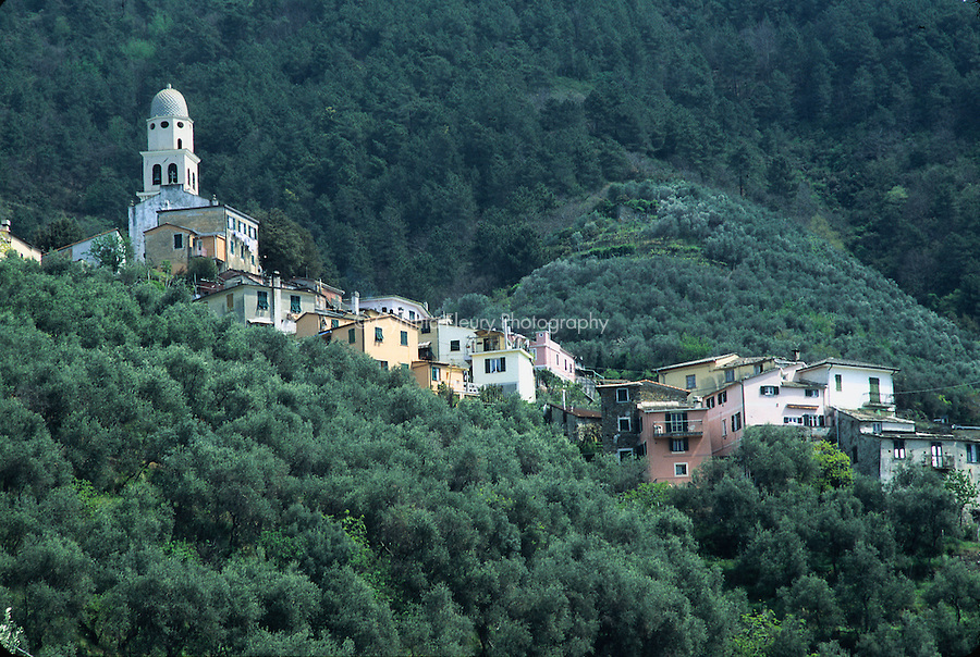 City-on-a-Hill-Landscape-photo-of-Legnaro-Italy.jpg