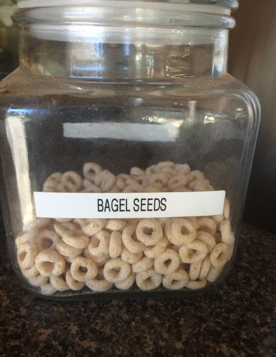 Bagel-Seeds-564x730.jpg
