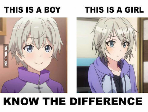 anime-logic-gender.jpg