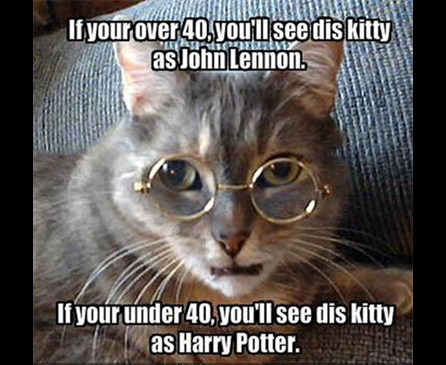 If-youre-over-40-youll-see-dis-kitty-as-John-Lennon-If-youre-under-40-youll-see-dis-kitty-as-Harry-Potter.jpg