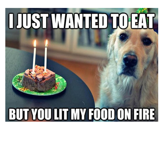 cute-funny-dog-meme-20.jpg