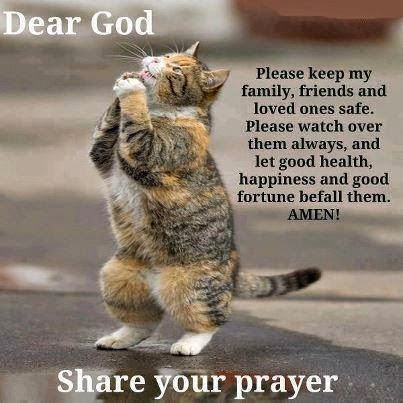 dear-god-cat-prayer.jpg