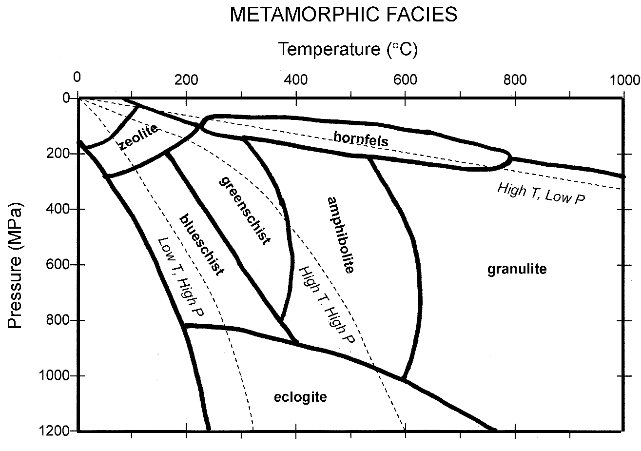 metafacies2.gif