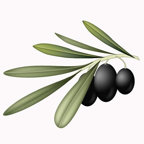 Olives__olive_branch_by_weberica.jpg